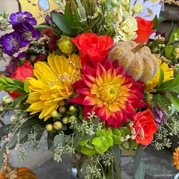 Fall Splendor
