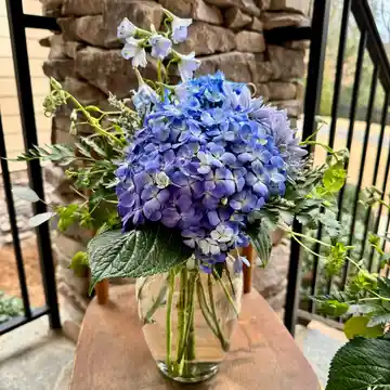 Feeling Blue