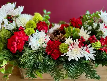 Festive Holiday