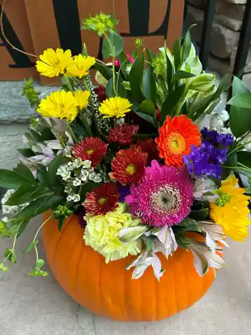Pumpkins Galore