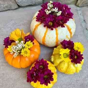 Small Pumpkins and Flowers