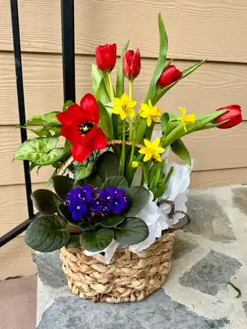 Spring Love